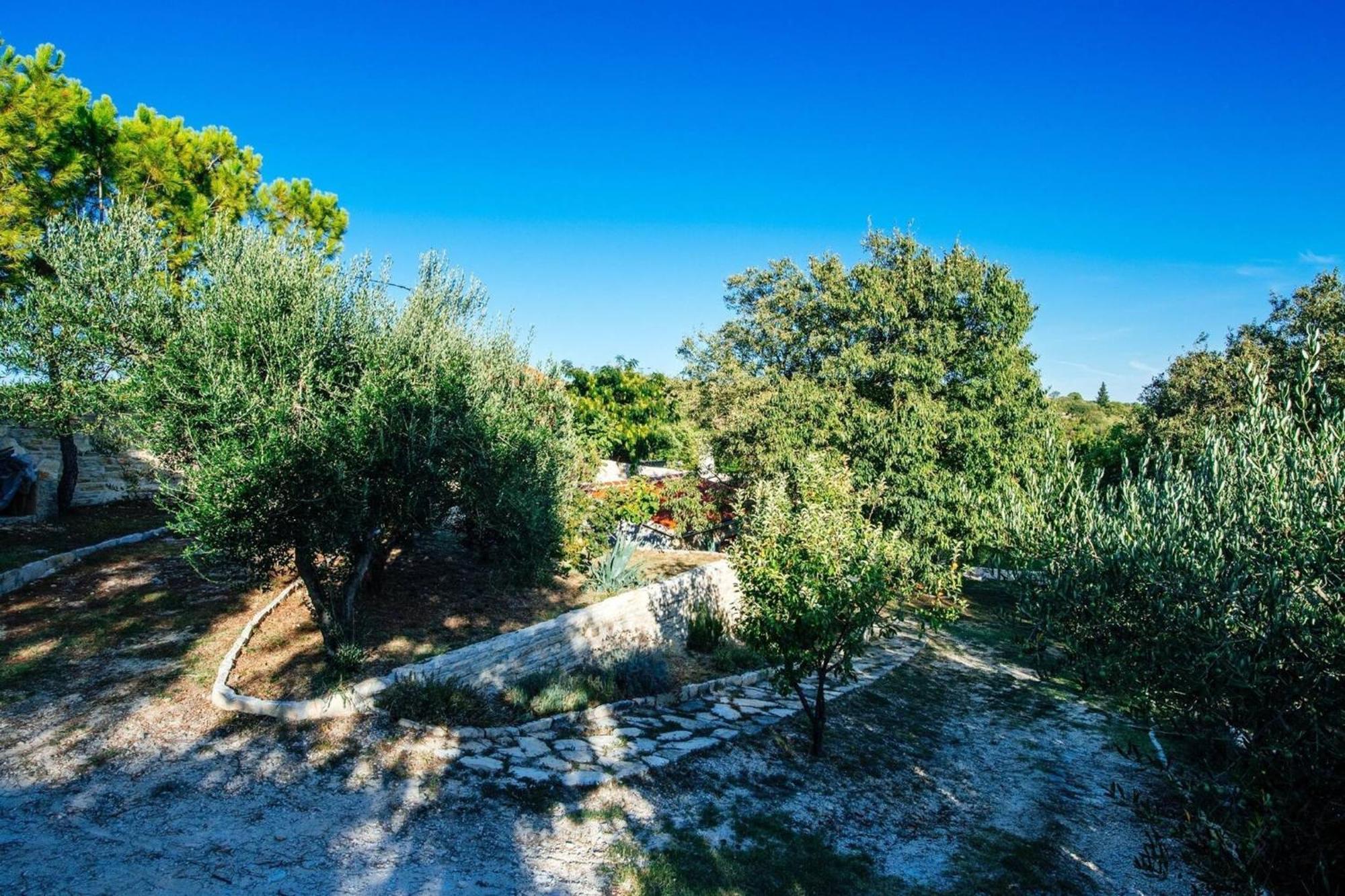 My Dalmatia - Holiday Home Korlat With Private Pool Benkovac Exterior photo